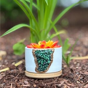 Round white ceramic succulent planter with ruby zoisite crystal geode